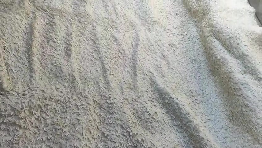 زوليه • نضيفه • ٤×٥م