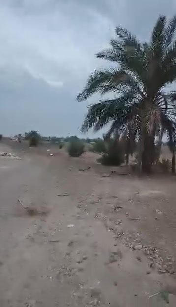 دوانم • فيديو • واتساب