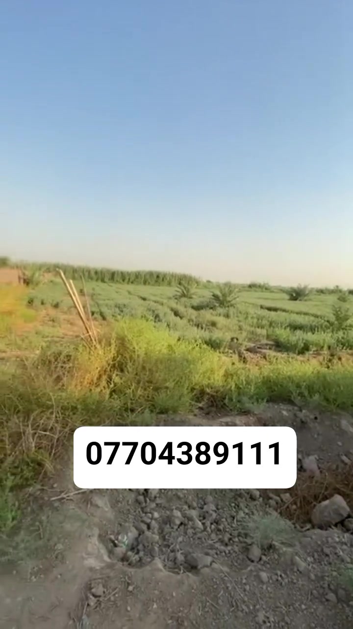 السلام عليكم دونم طابو زراعي تحويل سند 
بغداد المدائن منطقه الجعاره مقابيل بسمايه 
للاستفسار اتصال 
***********

