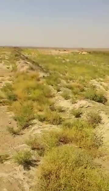 السلام عليكم أرض زراعيه للضمان مساحة الأرض 53 دونم معدلة باليزر رقم الهاتف ***********
