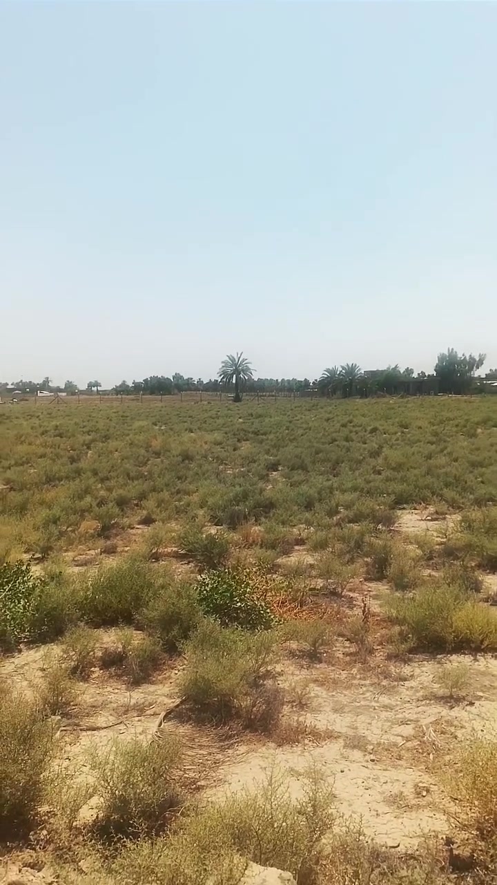 السلام عليكم  للبيع المستعجل لغرض السفر 
دونم طابو صرف. طابو صرف  في ابو غريب حميد شعبان في الشارع الوسطاني الوجه 20 متر ونزال 136
السعر 130 مليون وبيها مجال للشراي 
للاتصال ***********
