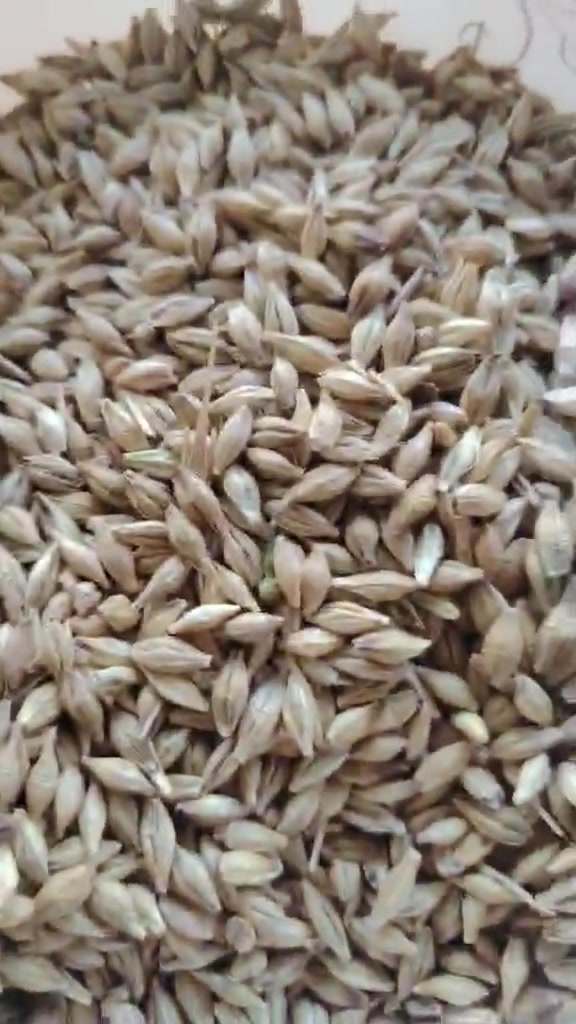 جۆی تایبەت بۆ فرۆشتن  تکایە موشتەری نیت سەری منو خۆشت مەیە شێنە ***********
