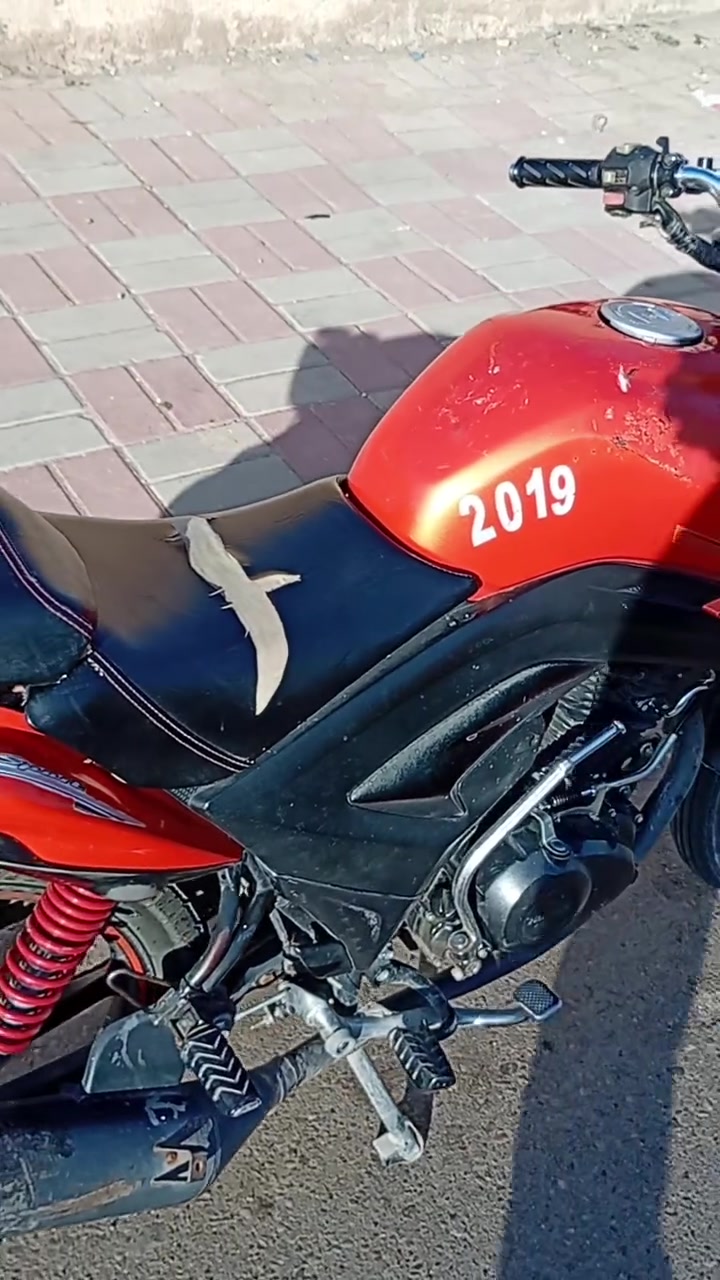السلام عليكم ماطور هاوجي للبيع اوراق ضايعه باسم محمد مزهر موديل 2019السعر مليون قفل مال بيع من الاخير يحتاج ترتيبات بسيطه مكاني الرمادي التاميم القادسيه الثانيه رقمي ***********ابو ساره
