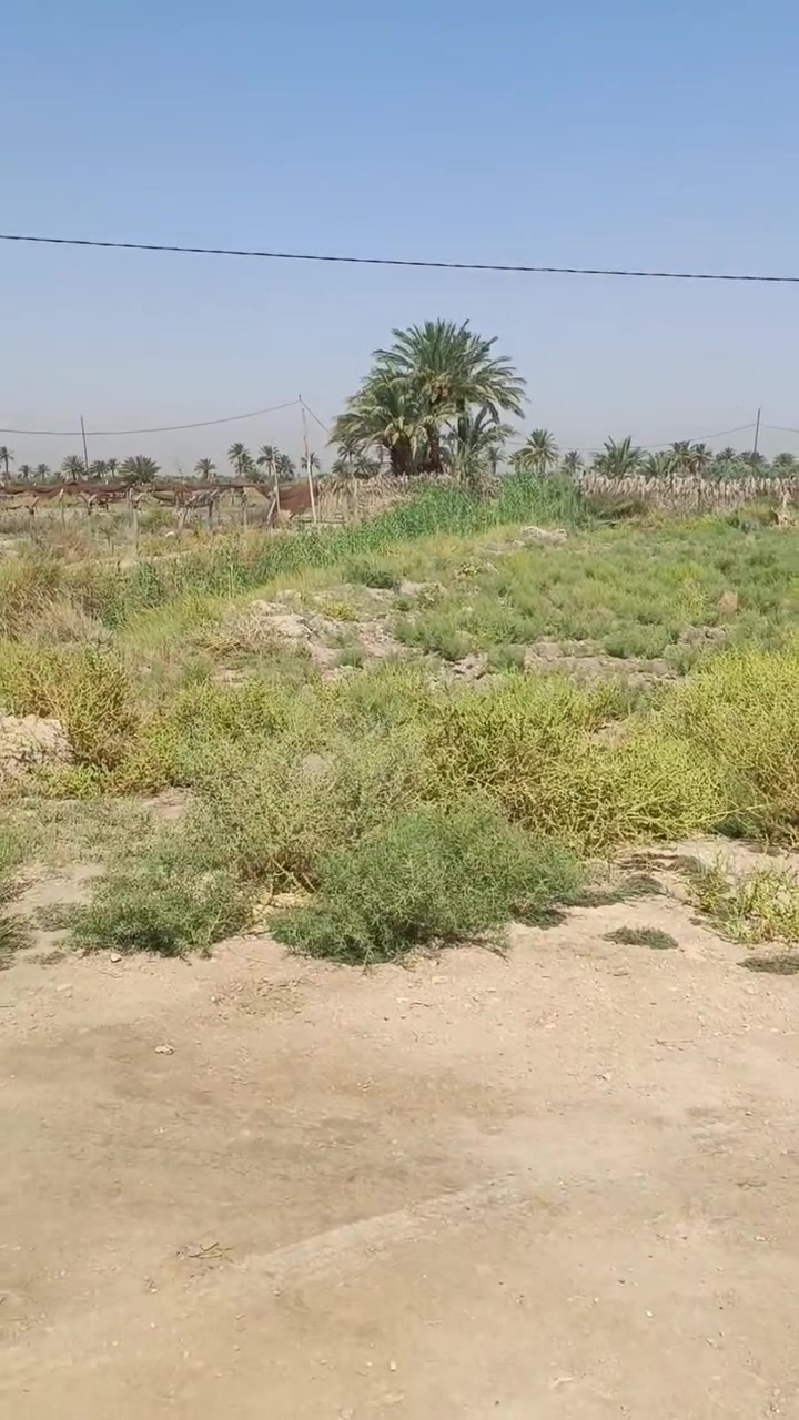 🌿 للبيع دونم أرض مميز في كربلاء – شط الله 🌿  
📍 الموقع: شارع المعمل قرب مضخة المياه شارع البو سيد ناصر   يبعد عن الشارع طويريج كيلوين ويبعد عن الشارع العام 400 متر واجهه 50
🧾 سند رسمي "25 قرار محكمة"  
🚿 خدمات كاملة: ماء، كهرباء، تبليط قابل للتنفيذ  
🏡 صالح للسكن والزراعة، وبالقرب نهر جاري مثالي للري والزراعة  
💰 السعر المطلوب: 80 مليون دينار عراقي – قابل للتفاوض

فرصة ممتازة للاستثمار أو السكن في موقع هادئ ومخدوم بالكامل  
📞 للتواصل: ***********
