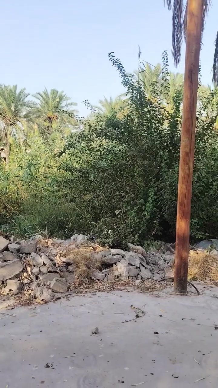 طابو زراعي • سدة بيت حسوني • 230م