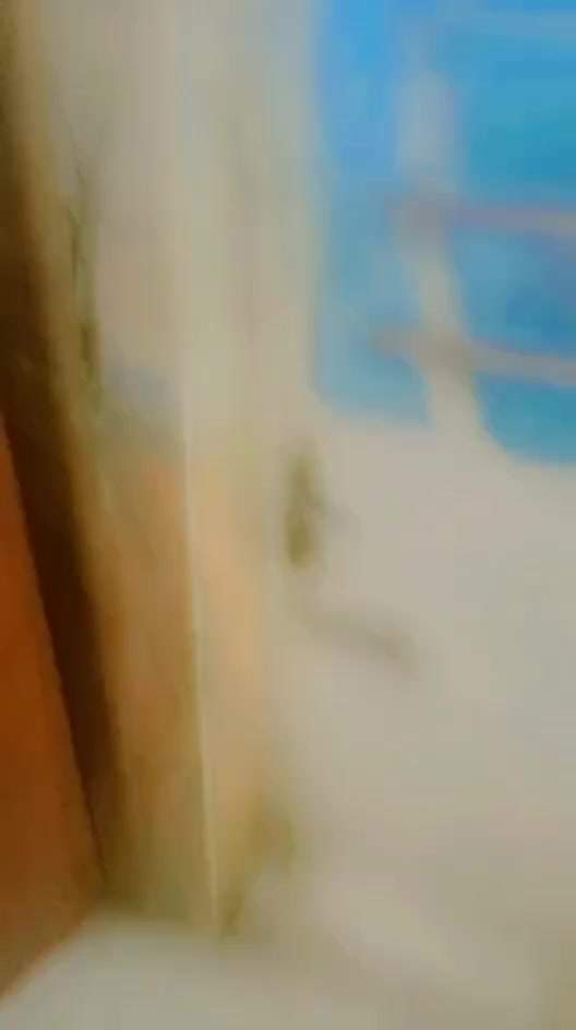 سلام عليكم مساحه سند 25 بلديات حي التراث يم اسواق العائله قريب مضيف شمر  3طوابق كنضام سويت شارع كلش عريض  يدمايقارب ال 200متركهربا  والماء من الزراعي ومن الطابو استقبال  حولي 3غرف نوم  البيت ثلاث طوابق اخوان البيت كش متعوب علي سعر 125اكررمساحه 70 بس للواقع أكثر  ***********واتساب ووفيس موجود
