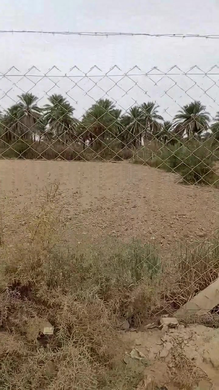 ١٠٠م • طابو زراعي • سند ٢٥