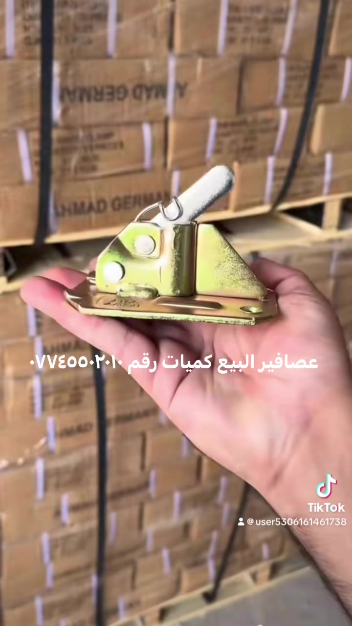 عصافير • كميات كبيرة • بغداد