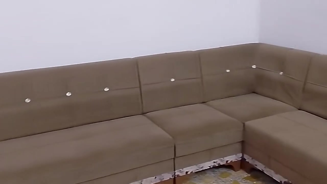 تخم ديوان نظيف للبيع مستعجل سعره200الف
