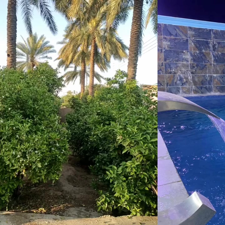 متوفر حجز مزرعة ومنتجع أمارليس قضاء بلد الاتصال 
على الرقم او المراسله على الواتساب 
***********
الاثنين مسائي
الثلاثاء مسائي وصباحي 
الاربعاء مسائي وصباحي 
الخميس مسائي وصباحي 
الجمعة مسائي وصباحي
@إشارة
