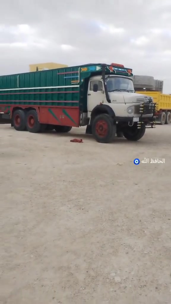 شاصي طويل • بدون صبغ • كفاله عامه