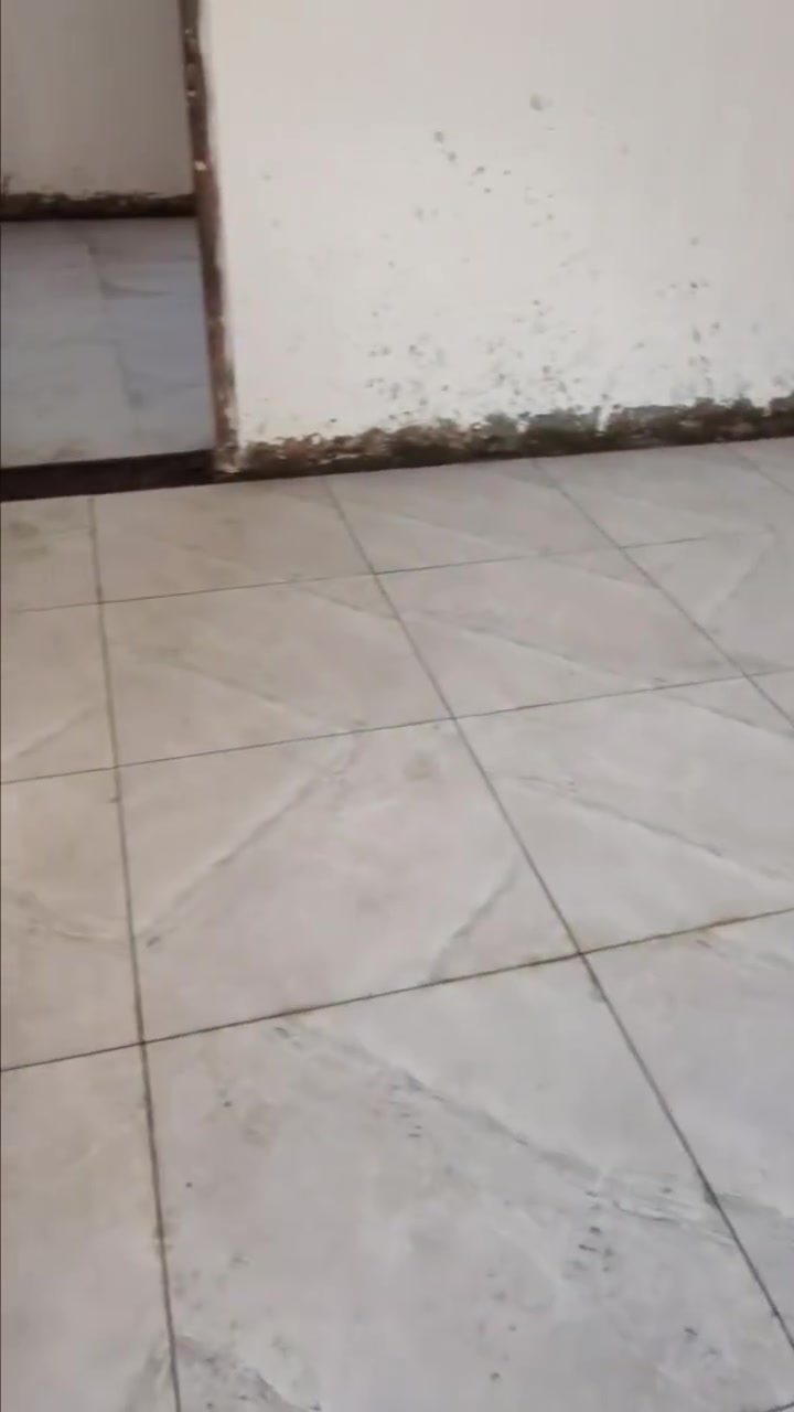 سيراميك • ارضي جداري • الرفاعي