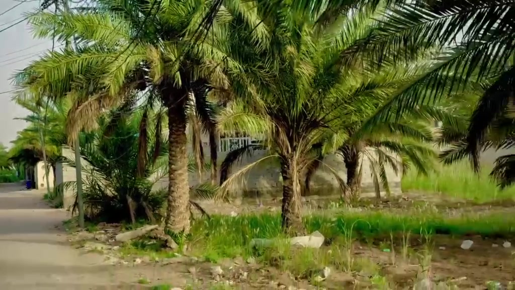 قطع اراضي للبيع كاملة او حسب الطلب ☝🏻
طريق كربلاء بغداد عمود 12 سايد الدخول 4 كيلو عن الامام 
الارض زراعي سند 25 بأسم شخص واحد تحويل مباشر اقرار ومكاتبة وية ابو الكاع 
ال100 متر ب30 قفل مابيها مجال ابد ابد ابد 🤫😂
للحجز والاستفسار واتساب هذا رقم ابو الكاع مباشر 
***********
