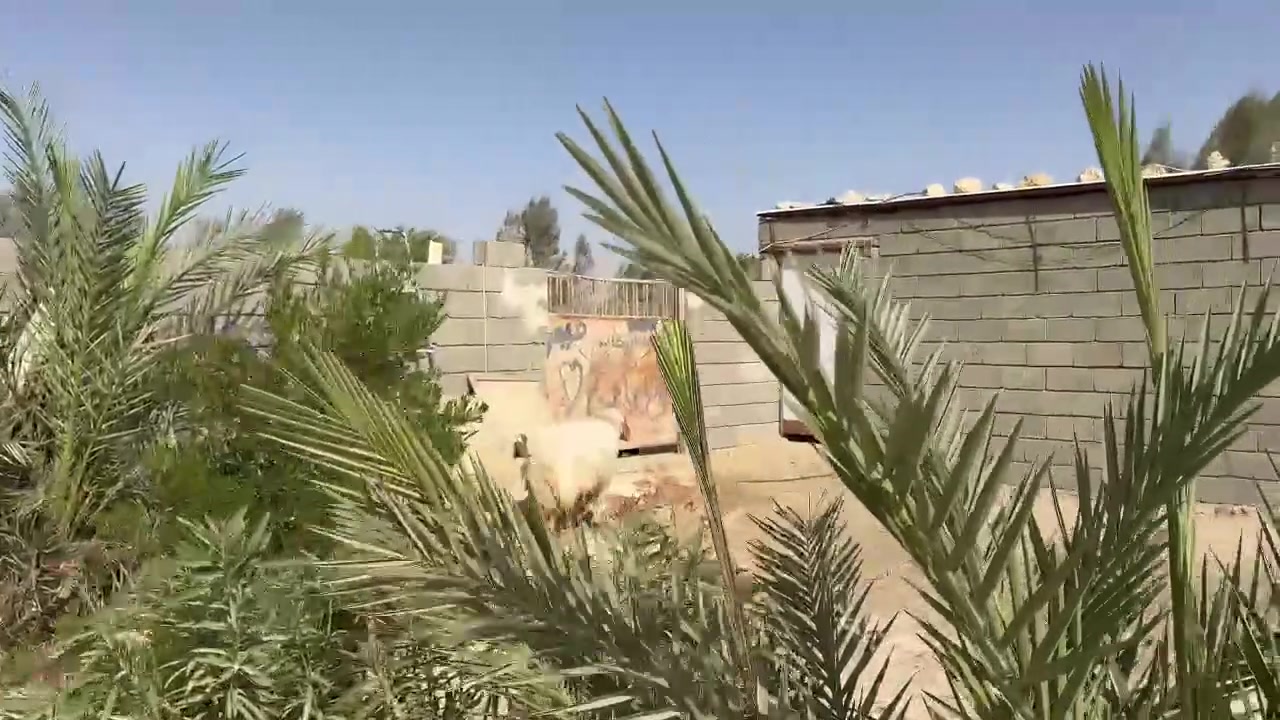 السلام عليكم اخوان
اربع ثنايه خشنات وعدلات مال جنيه خط اول مبدلات عله سنين سعر لزوج ٩٦٠ وبيهن مجال مكان حديثه *********** يوجد توصيل حسب لاتفاق
