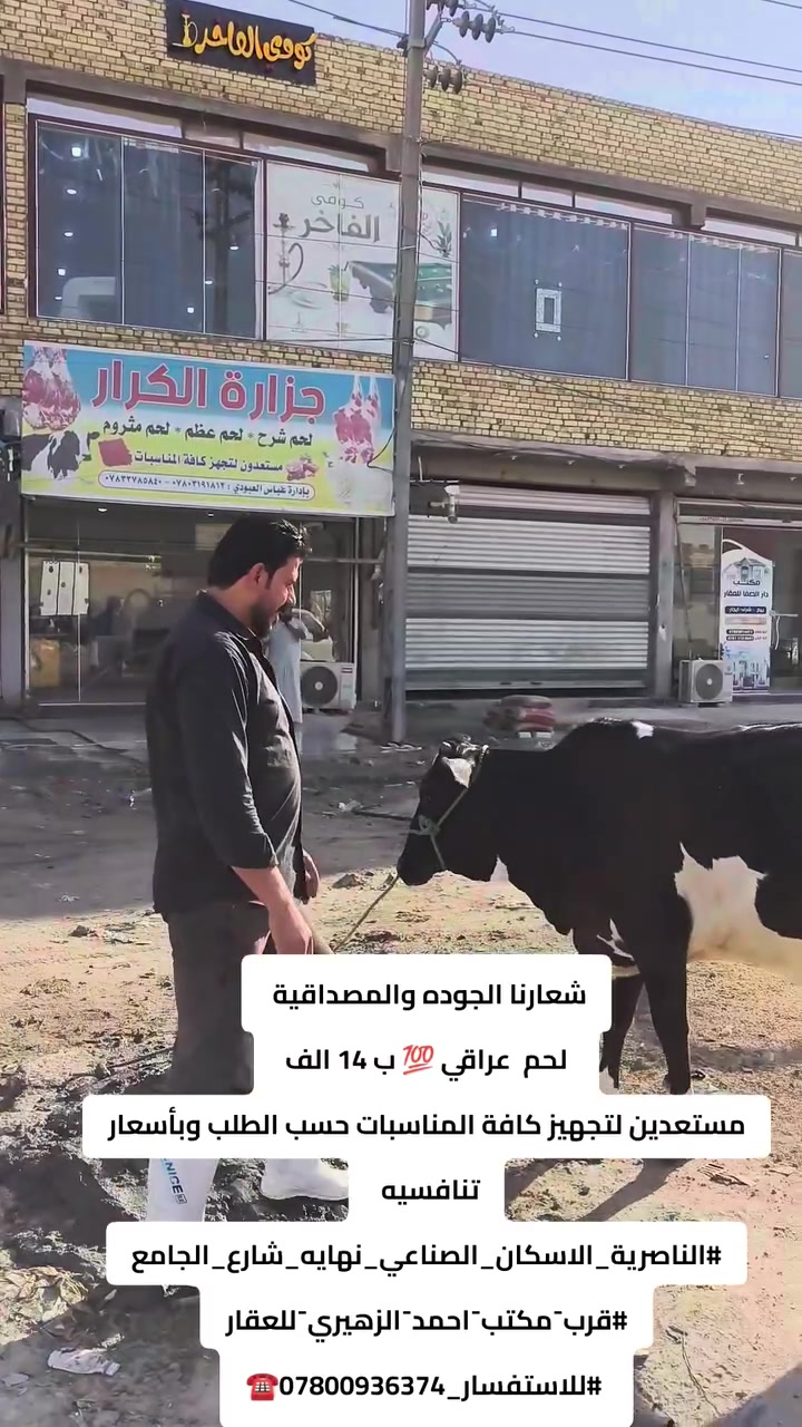 شعارنا الجوده والمصداقية 
 لحم  عراقي 💯 ب 14 الف 
مستعدين لتجهيز كافة المناسبات حسب الطلب وبأسعار تنافسيه 
#كيلو_14الف_عجل_عراقي
#الناصرية_الاسكان_الصناعي_نهايه_شارع_الجامع
#قرب־مكتب־احمد־الزهيري־للعقار
 #للاستفسار_***********☎️
