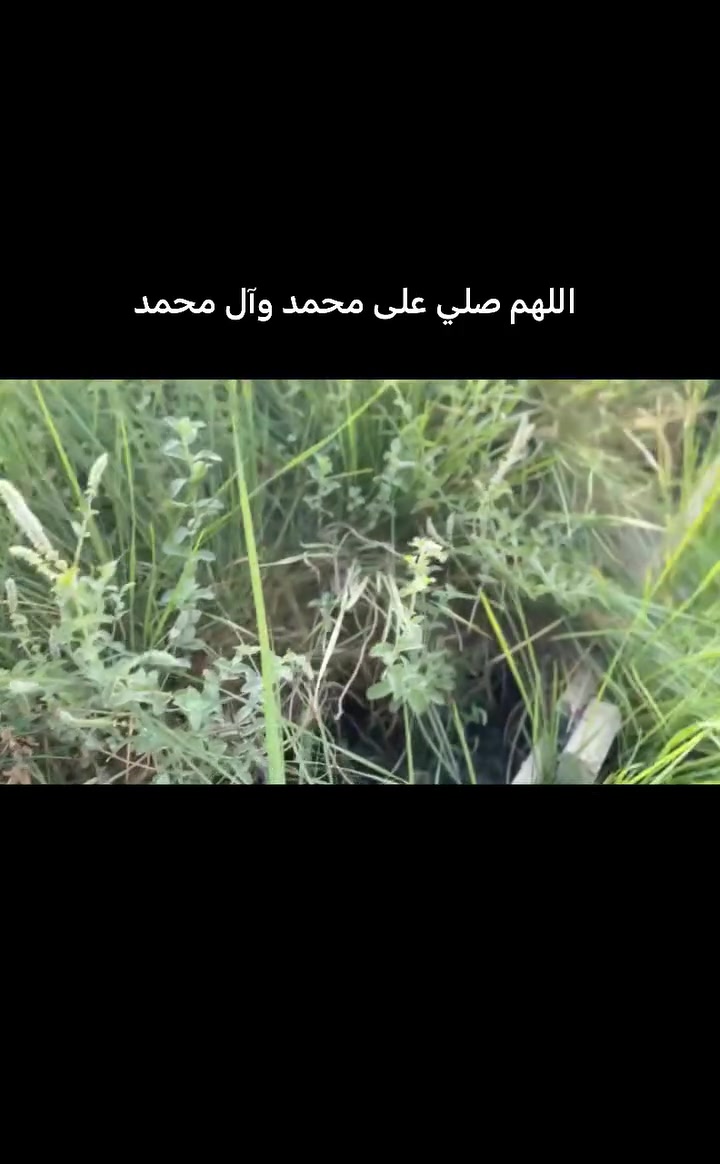 اليوسفيه البعامر • ٢ دونم • ماء كهرباء