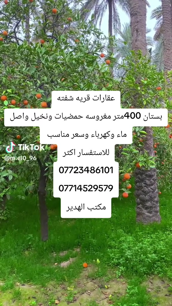 قريه • ٤٠٠م • أرض