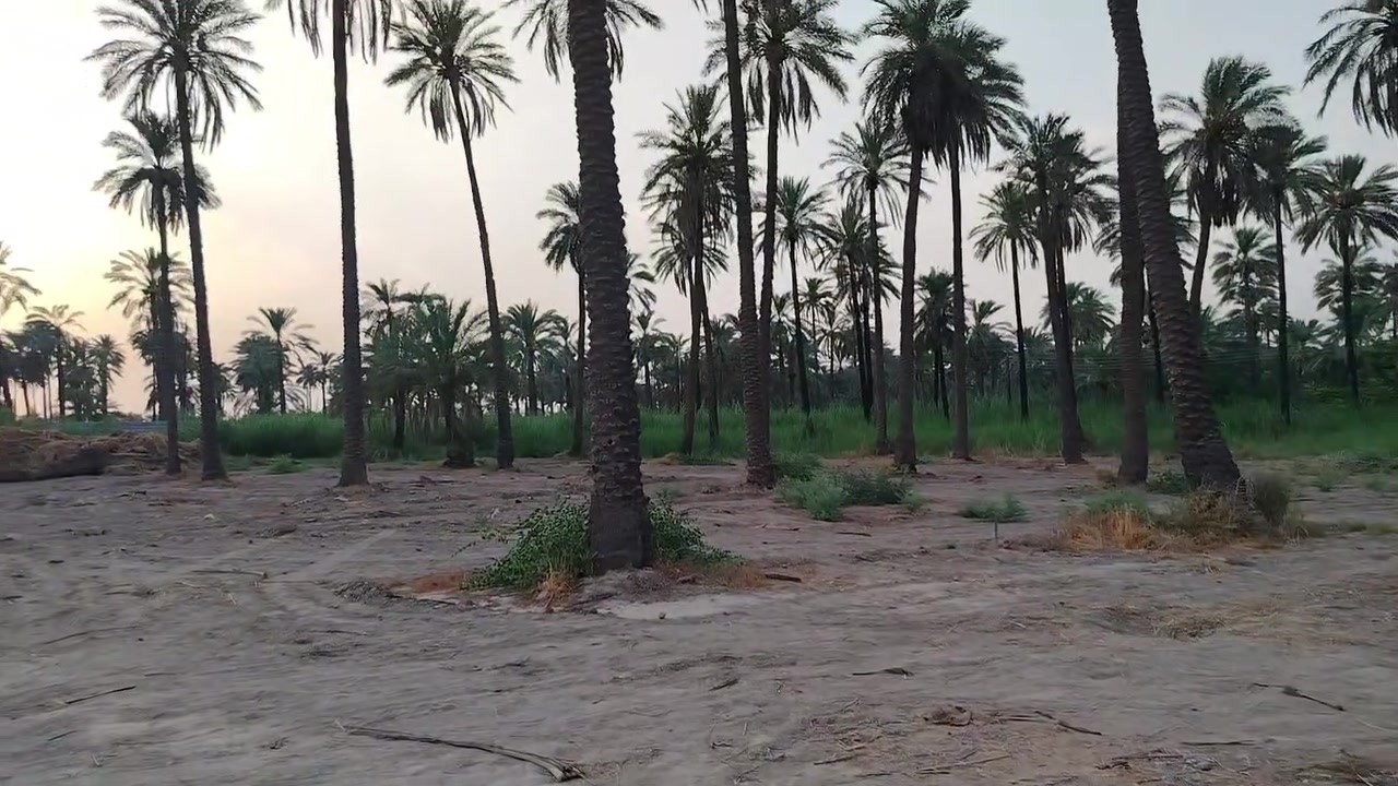 السلام عليكم ورحمة الله
اربع دوانم ونص طابو ملك صرف مسيجه ومشجره واصلها كهرباء وماء تصلح مزرعة ترفيهيه أو سكن مدخل الارض على الشط مباشره طريقها خاص بيها من السده للارض تبعد عن الشط 100 متر العنوان المدائن  شارع سيد علي سعر الدونم 250 تحويل ثاني يوم بالطابو 
للاستفسار يوجد واتساب غير متواجد على الفيس
***********
