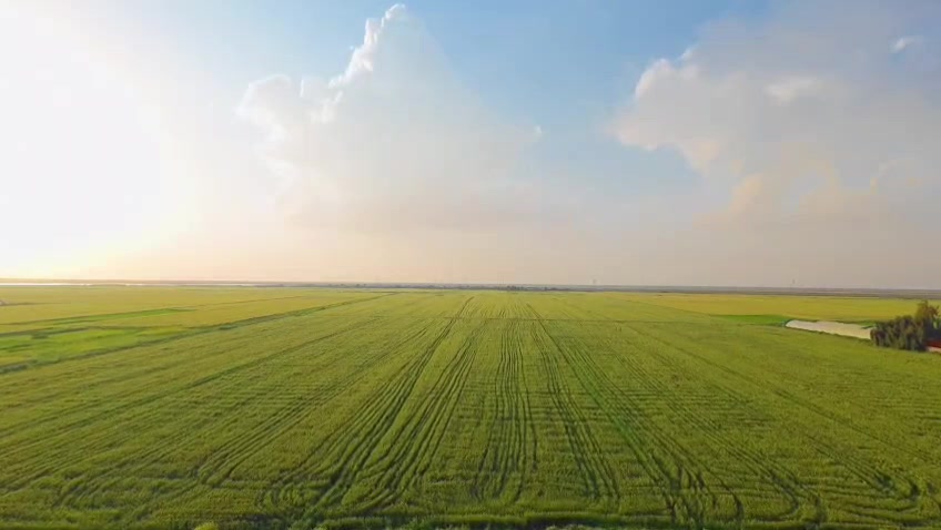 🌱 فرصة مميزة للبيع 🌱
أرض زراعية من الدرجة الأولى للبيع
📍 الموقع: قرية بيت بدن الدخان – طريق كوت / شيخ سعد
🔹 المساحة: 60 دونم
🔹 نوع الملكية: طابو رسمي
🔹 تتوفر جميع الخدمات:
✔️ ماء
✔️ كهرباء
✔️ صالحة للسكن
📞 للاستفسار: ***********
فرصة ممتازة للاستثمار أو السكن ✨
هلو عمي، شكد السعر المطلوب للدونم أو للمجموع؟ وبيه مجال للتفاوض لو السعر ثابت؟: 
بيها مجال للتفاوص
الموقع بالتحديد وين بالضبط بقرية بيت بدن الدخان؟ قريب على شنو/أي معلم حتى يسهل على المشتري يوصل؟: 
قريب ع قبان التريلات
الأرض كلها 60 دونم كقطعة وحدة لو ممكن تنباع مجزأة؟ وإذا مجزأة شكد أقل مساحة ممكن؟: 
كقطعه وحدى تنباع 
شنو وضع التربة والإرواء؟ يعني خصبة ومناسبة للزراعة شنو المحاصيل اللي تنزرع بيها؟: 
خصبه جيدا جداً وتنزرع جميع المحاصيل ومتوفره جميع الخدمات
