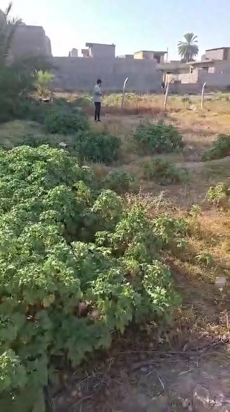 السلام عليكم ارض للبيع سند ٢٥ المساحه ١٨٠ بلعريفيه بنزله مال شيخ مثنا الجبوري قريبه عشارع العام للاستفسار ***********
