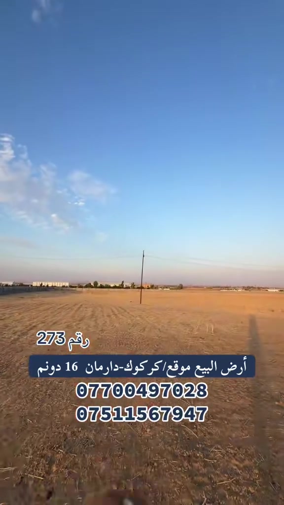 كركوك-دارمان • ١٦دونم • طابو