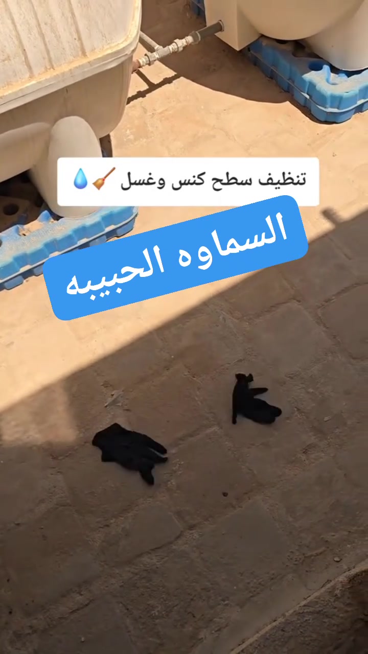 السماوه الحبيبه • تنظيف
