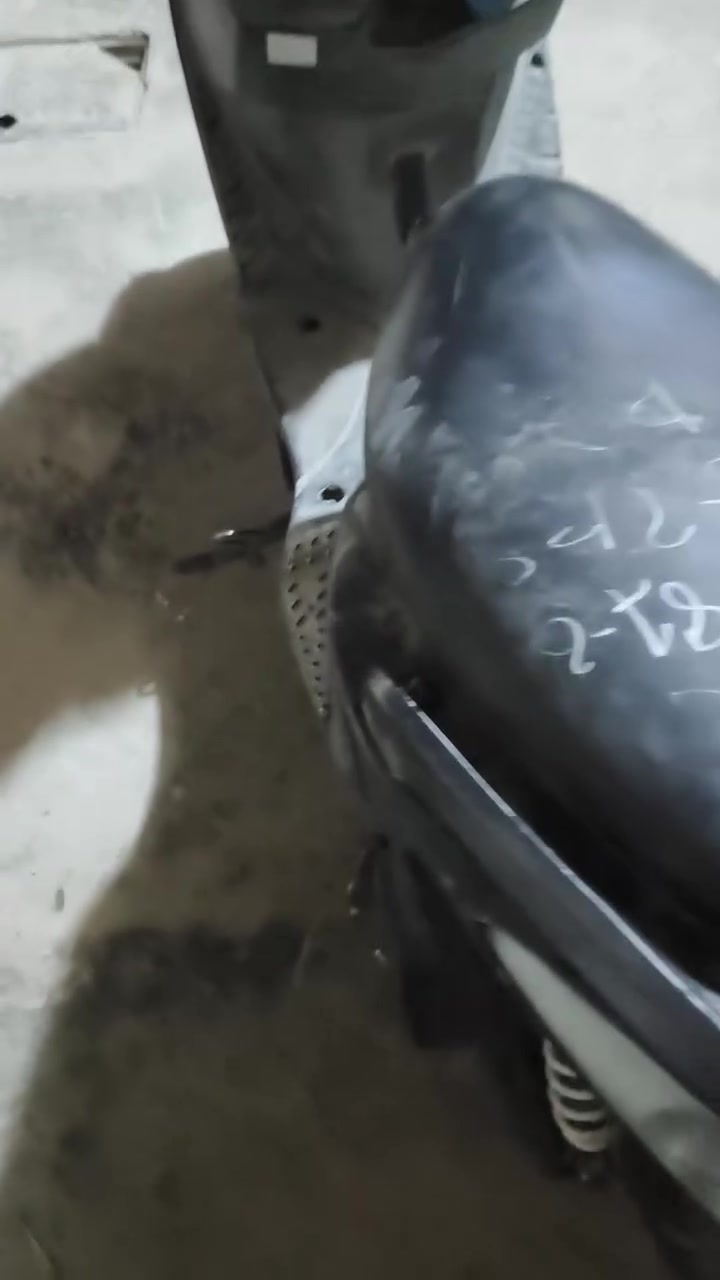 سكنس فحل • شغالة • نوزل
