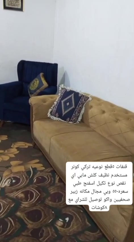 قنفات ٥ قطع • تركي • اسفنج طبي