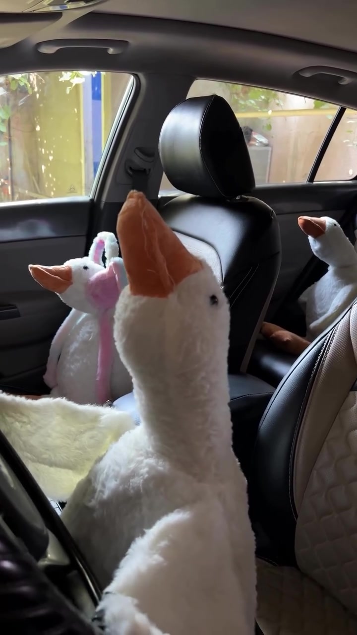 سوفت بطة الترند صار متوفر بس ب 12 الف تكدر تطلبه هسه دايركت

#toys #عالم_الألعاب_والهدايا #كركوك #العاب_اطفال #توصيل_طلبات

