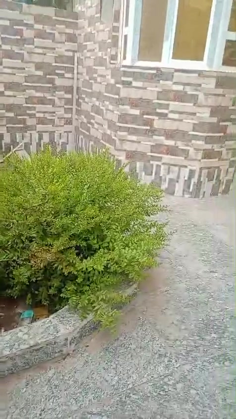 تحيه طيبه لمتابيعنا الكرام 💠
متوفر دار سكن للايجار بحي الحسين
بظهر ست الشام  مساحته ٢٠٠م بناء حديث
طابقين
الطابق الأول
غرف نوم ٢
استقبال
صالة
مطبخ
صحيات ٢
طارمه
الطابق الثاني
غرف نوم ٤
صالة
صحيات
سطح
ايجار شهري ٦٥٠ شامل ماي وكهرباء
الماعاجبه السعر رجاء لايعلق
للاستفسار مراجعه مكتب ابو سلام للعقارات سماوه حي الصدر قرب فلكه ساعه مقابيل مطعم دجله
اتصال ***********
واتساب ***********

