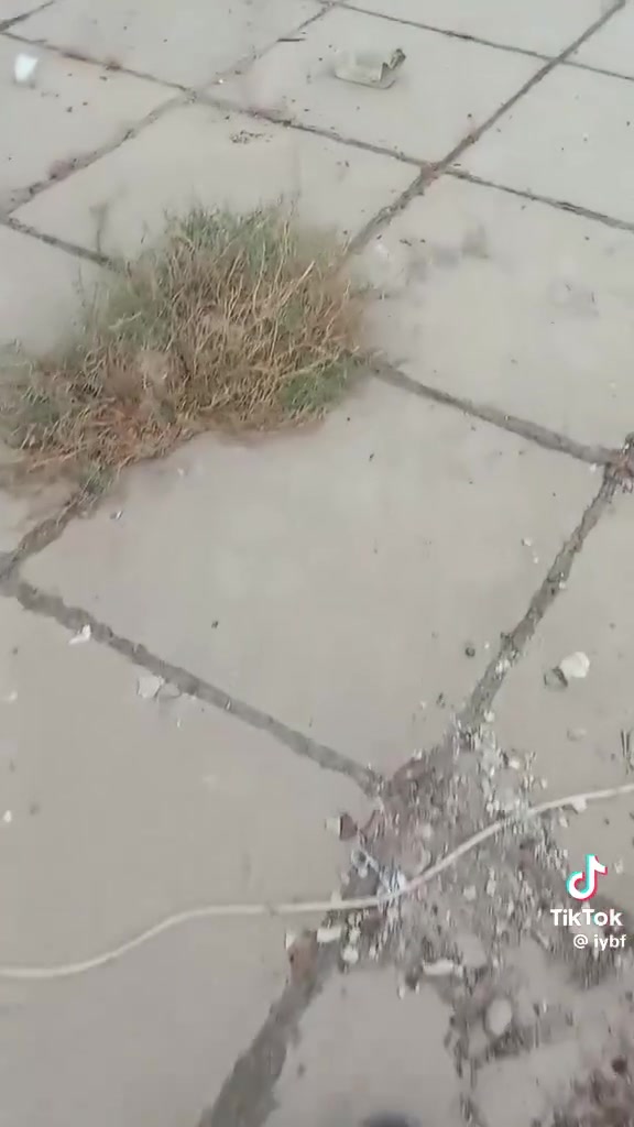 كادر متكامل • تأهيل السطوح • ماستيك