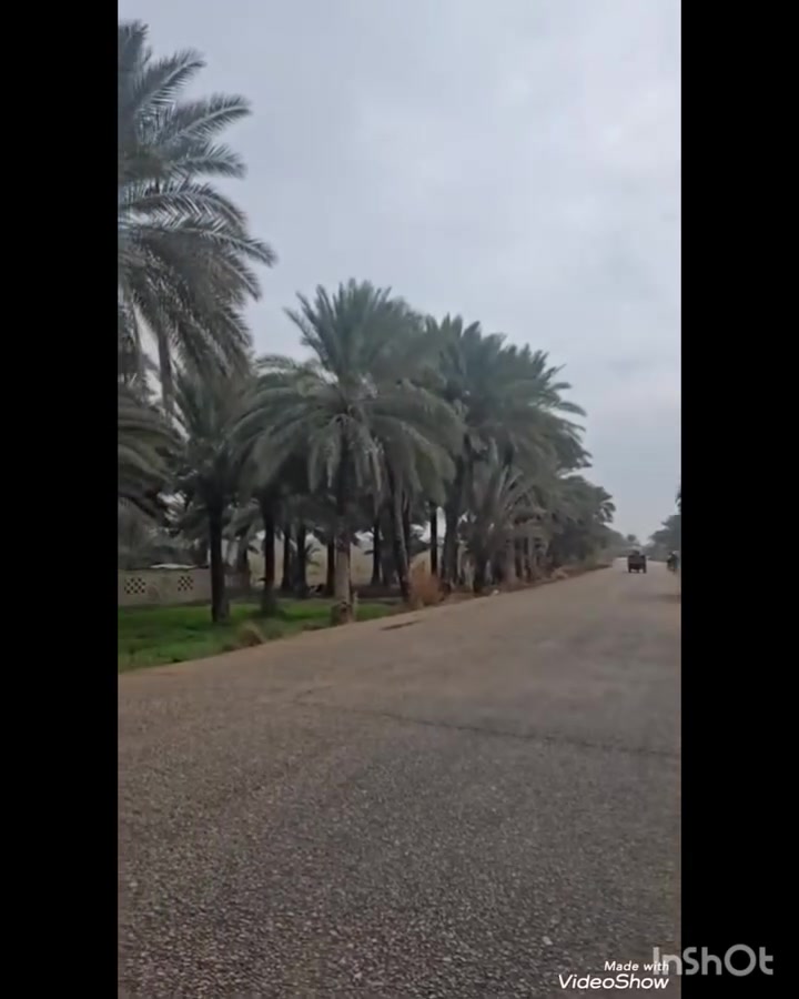 ٣ دونم وربع • طابو زراعي • سند ٢٥