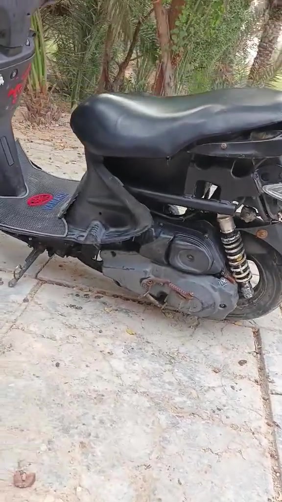 فراشه فحل • نضيفه • سلف هندل