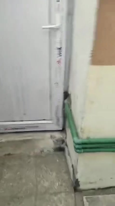 حي ميسان قطاع ٣٥ • ٥٠م • طابو