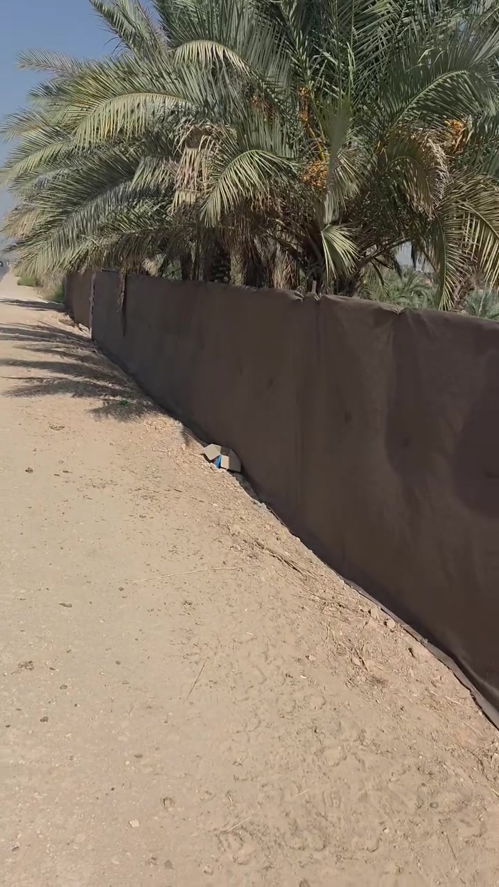 قطعة • ١٠٠٠م • سند ٢٥
