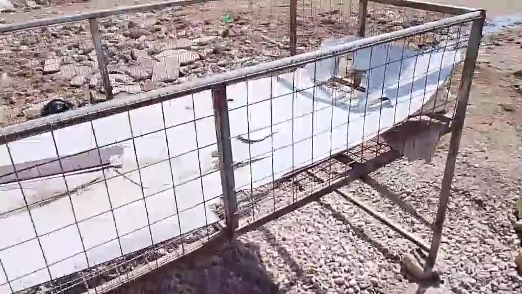 السلام عليكم اخوان غراض دجاج كاملات وكلهن جدد هلاسه وخناكه وعدد ثنين اقفاص وسنك كاملات مكاني بل كوت ليريدهن يدلل هاذ رقمي ***********
