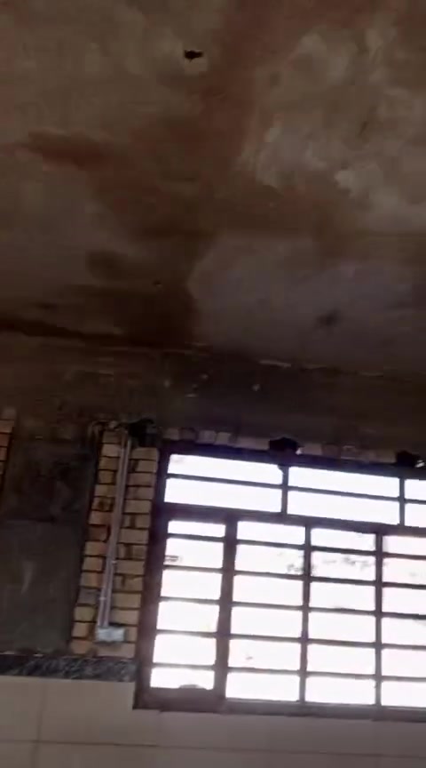 واجهات • طلس • مخمر