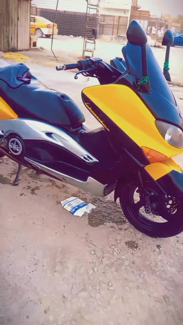 تيماكس • معدل • شلعة