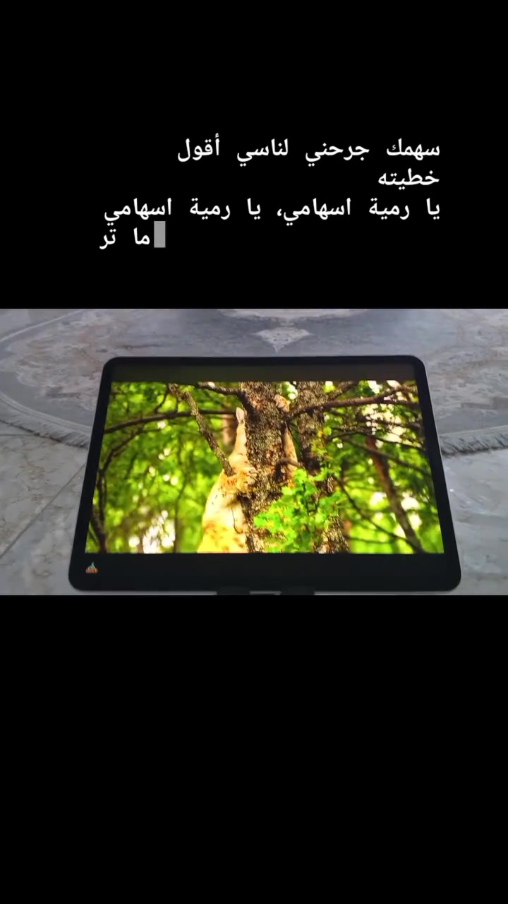 آيباد برو ١١ • ١٢٨ جيجا • واي فاي
