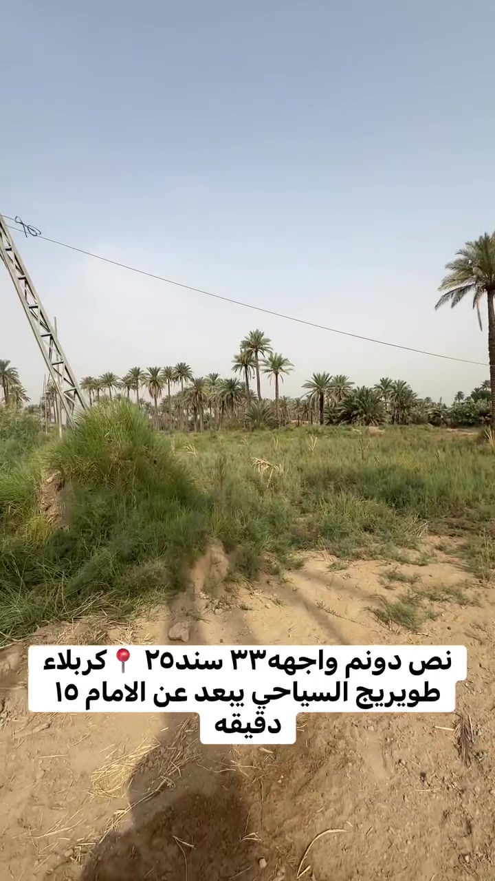 نص دونم • واجهة ٣٣ • سند ٢٥