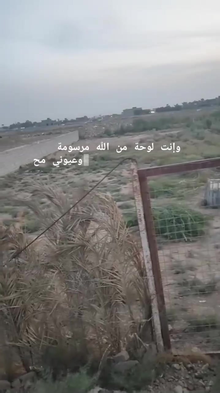 ١٦٠٠م • قانون ١١٧ • واجه ٢٠م