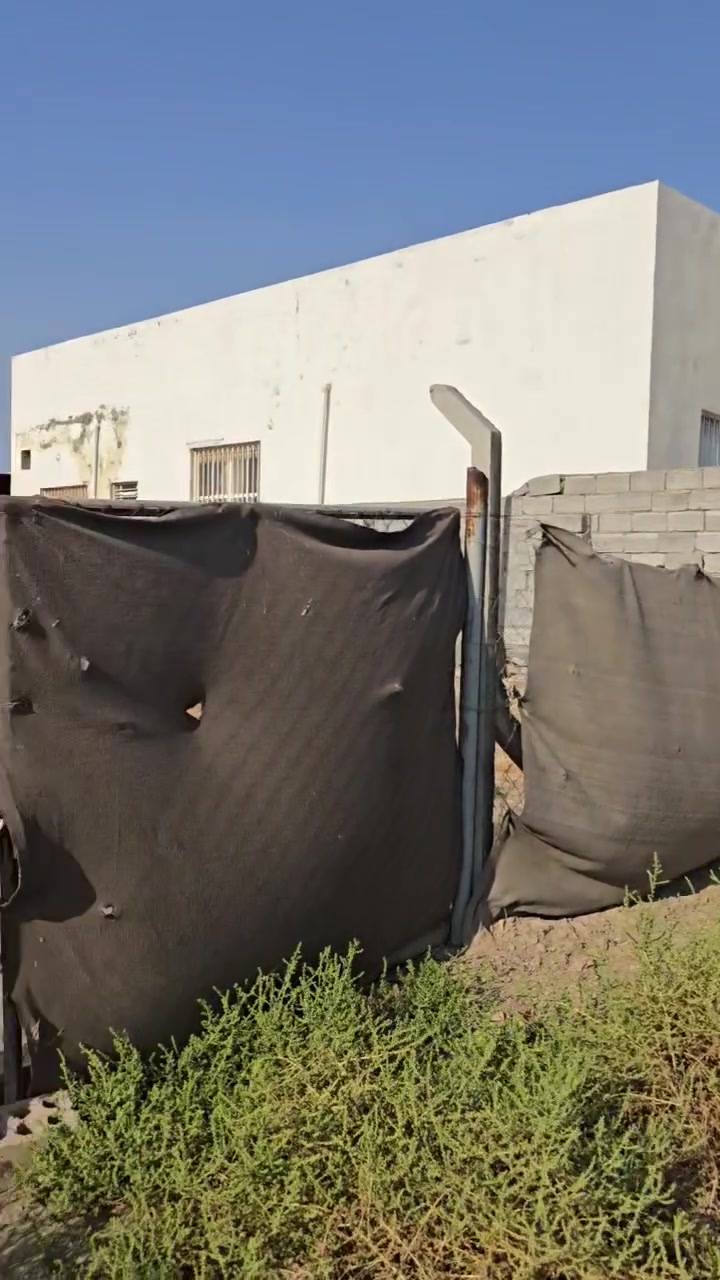 قطعة أرض للبيع طابو زراعي سند ٢٥
المساحة ٨٠٠ متر حي بابل الزراعي 
داخل السياج الحجر مزرعة مؤيد عدنان 
الها طريقين من الطريق الحولي الجديد الرابط بطريق الحله 
وعلى حي بابل 
بيها brc وحابط حجر 
شارع ٨ متر كهرباء مي مولده 
للاستفسار الاتصال 
***********
