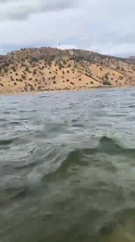 سد دربندخان • جزيرة الخيول • بحيرة سيروان