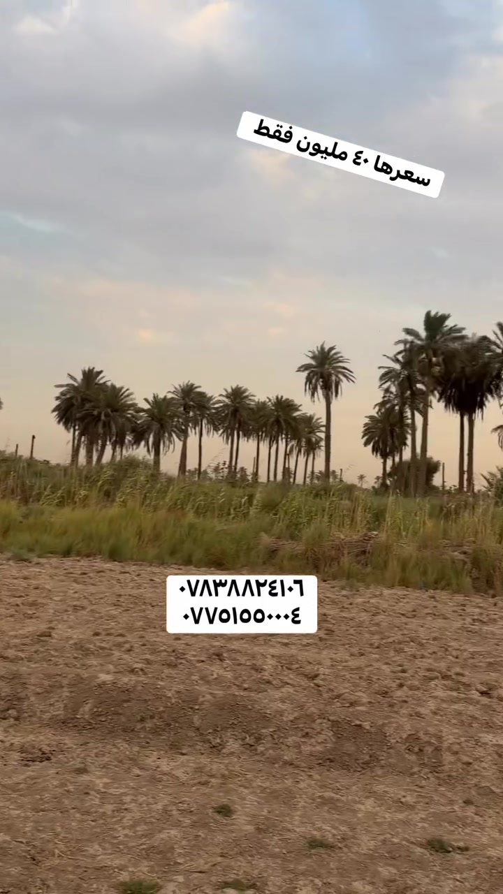 طابو زراعي • حلة الهميسانية • ٢٩٢٥م