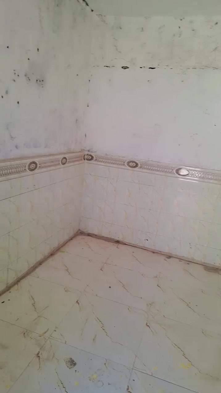 سلام عليكم بيت خلف العمارت سكينه  مدنيه الصدر  ٣ غرف +ستقبال +صحيات +حوش ١٠ مترات ***********

