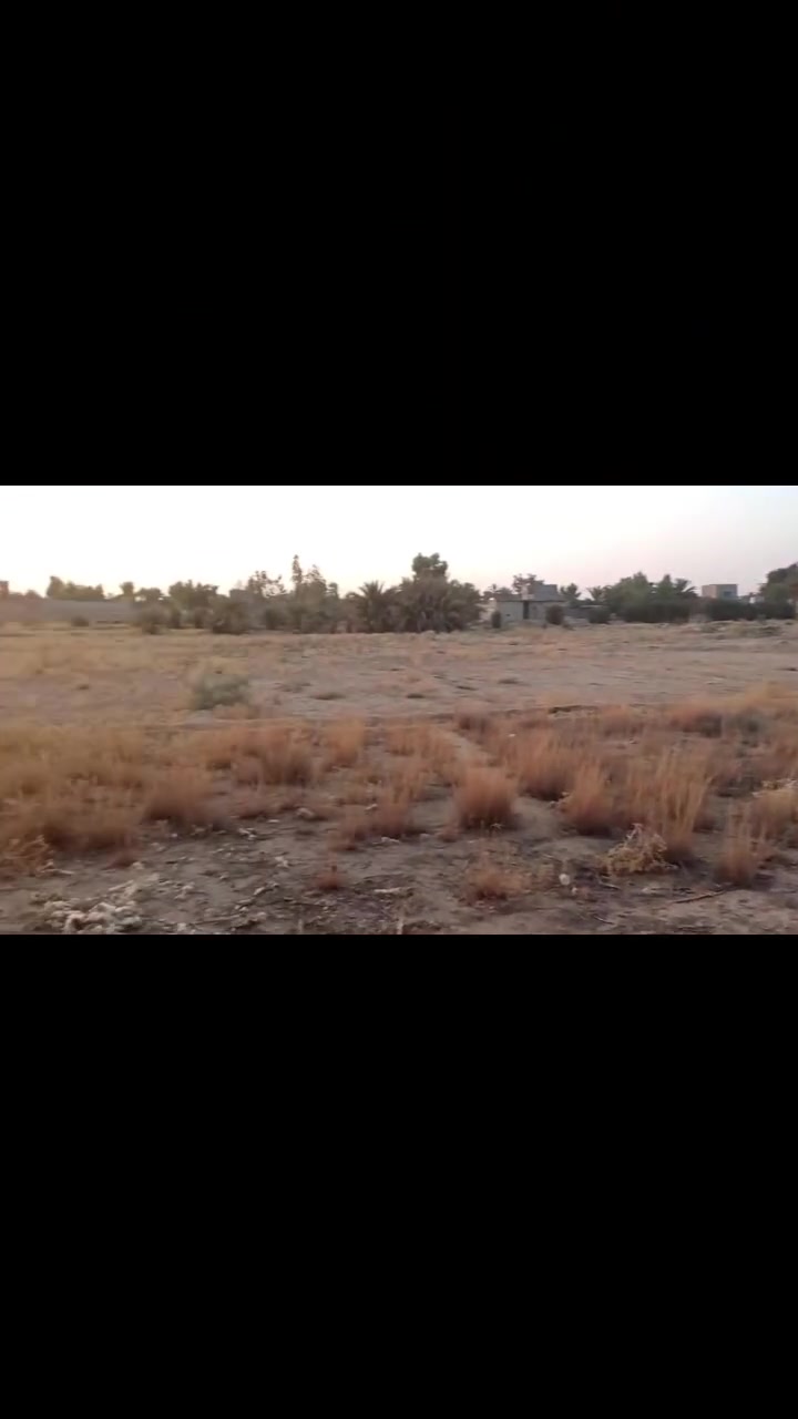 هيت بنان • ٣٤٧٠م • تحويل بنفس اليوم