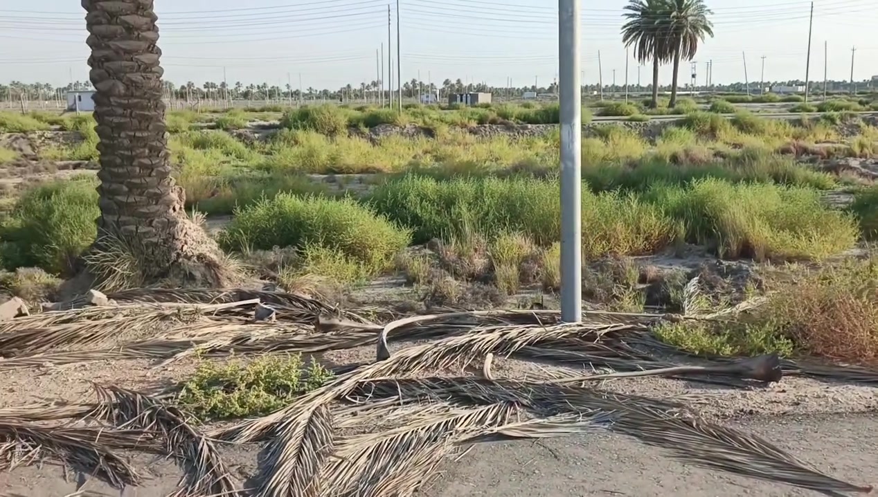 يا الله عرض مميز
سلام عليكم بسعر مناسب 
600متر طابو زراعي سند 25 تحويل مباشر
الوجها 30والنزال 20
تريد 200متر نبيع تريد 400متر هم نبيع 
خدمات كامله تبليط ماء اساله كهرباء 
تصير سكن او استثمار 
سكن موجود يمك 
التفاصيل أكثر بالفيديو 
العنوان حله التاجيه خلف جامعة المستقبل 
موقع مرتب كلش 
السعر والتفاصيل أكثر خاص او الاتصال على الارقام او المراجعه مكتب الرحمن حله شارع 100 
#ملاحظة# لمن يرغب في
 عرض عقار او ارضه طابو صرف او طابو زراعي عليه مراسلتنا او الإتصال
***********
***********يا الله عرض مميز
سلام عليكم بسعر مناسب 
600متر طابو زراعي سند 25 تحويل مباشر
الوجها 30والنزال 20
تريد 200متر نبيع تريد 400متر هم نبيع 
خدمات كامله تبليط ماء اساله كهرباء 
تصير سكن او استثمار 
سكن موجود يمك 
التفاصيل أكثر بالفيديو 
العنوان حله التاجيه خلف جامعة المستقبل 
موقع مرتب كلش 
السعر والتفاصيل أكثر خاص او الاتصال على الارقام او المراجعه مكتب الرحمن حله شارع 100 
#ملاحظة# لمن يرغب في
 عرض عقار او ارضه طابو صرف او طابو زراعي عليه مراسلتنا او الإتصال
***********
***********
