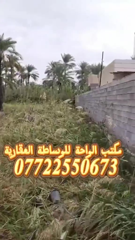 ١٨٠٠م • سند ٢٥ • قرب جزيرة بغداد