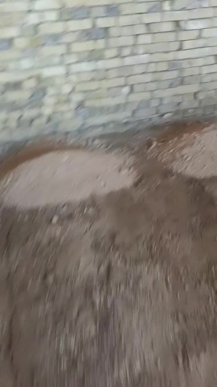 🚧 كادر عمل متكامل لجميع أعمال البناء والإعمار 🏗️

✅ سيراميك بجميع أنواعه وإتقان عالي.
✅ لباخ (لياسة) وتشطيبات ممتازة.
✅  بناء بلوك وطابوك 
✅ تعديل وتسوية الأرضيات.
✅ تطليع وترحيل التراب.
✅ فرش السبيس باحترافية.
✅ صب الأرضيات.
✅ حدل الأرضية بواسطة القفاز والحدالة للحصول على أفضل استواء وجودة.

💯 شغل نظيف • سرعة بالإنجاز • أسعار مناسبة • التزام بالمواعيد.

📞 للحجز والاستفسار راسلنا أو اتصل بنا، والكادر جاهز للعمل في جميع المناطق.

للتواصل والاستفسار ماعليك بس تتصل
***********
‏‪***********‬‏
