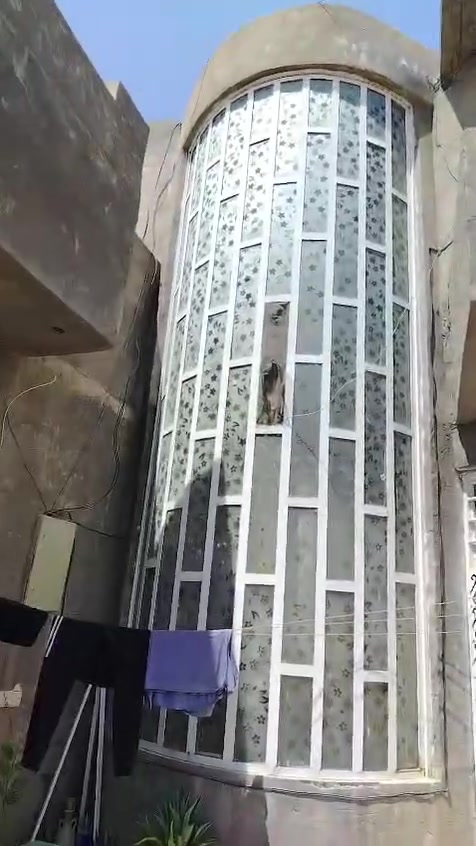 للبيع .. مشتمل مساحة 125 متر واجها 12م ونص .. ونزال 10م .. طابقين بكل طابق غرفة نوم وبيها حمام داخلي .. سويت .. بالشهداء قرب الخماسي وجامع أم المؤمنين عائشة .. سعر 80 ....   ***********
